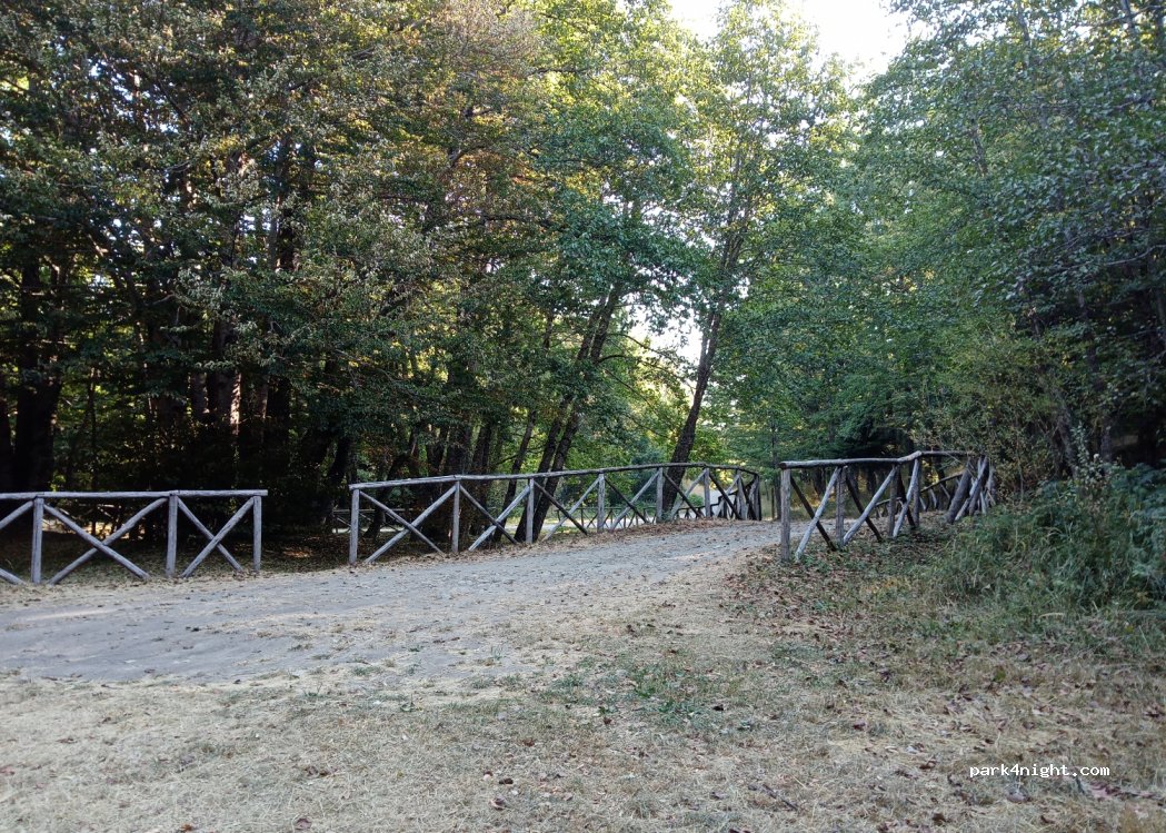 (85030) Terranova di Pollino - Unnamed Road — foto
