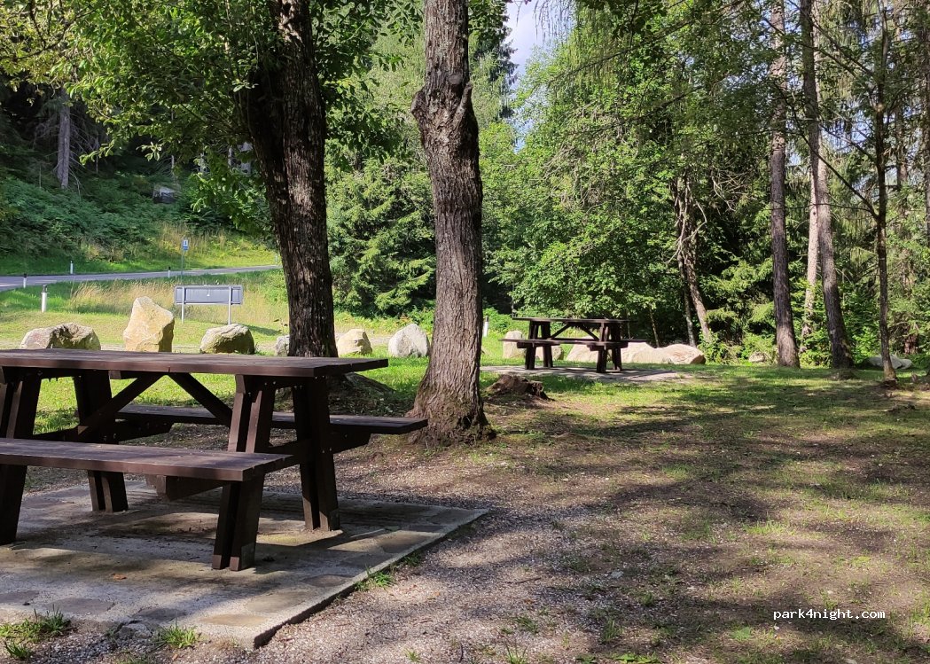 (38020) Mezzana - Strada Provinciale 206 di Marilleva — foto 3