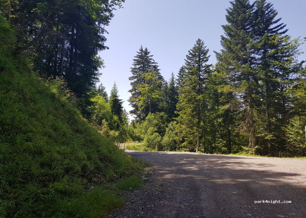 (74440) Mieussy - Chemin Rural dit d'Acodex — foto 3