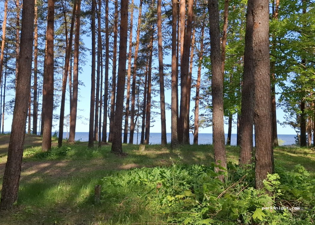 RMK Lemme campground — foto 5
