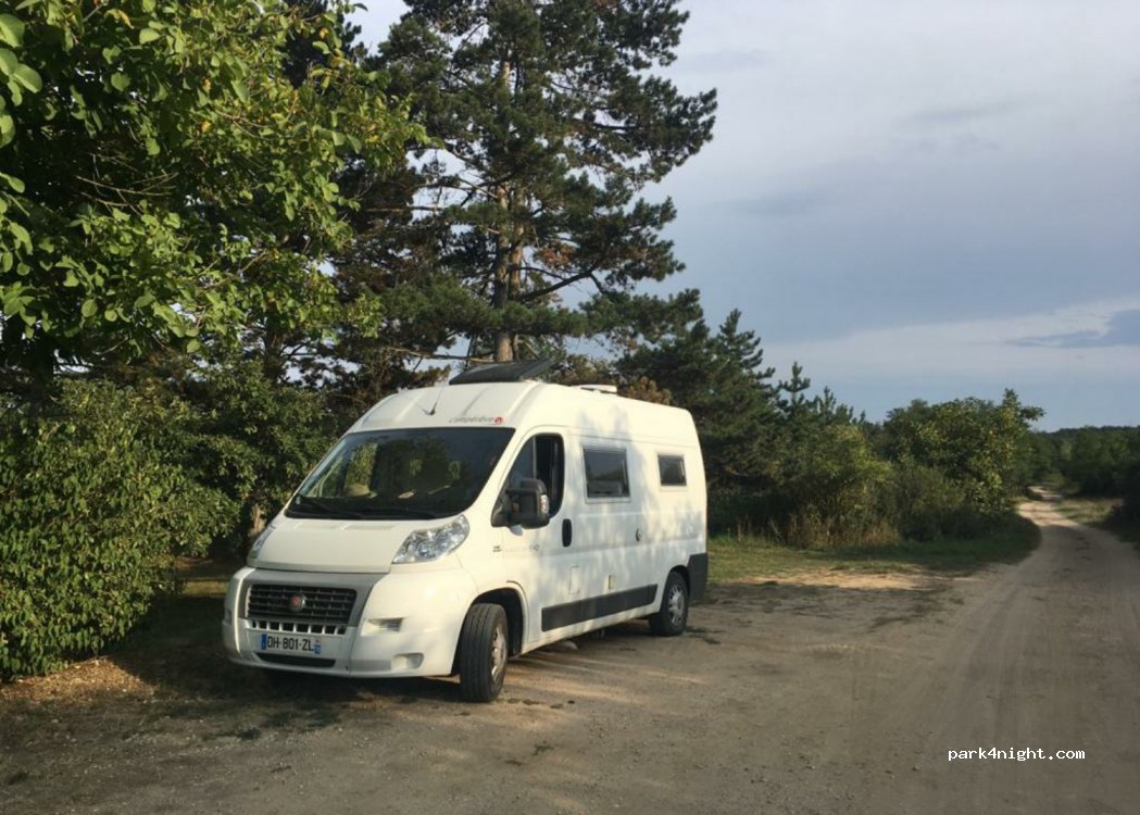 (8256) Salföld - 73132 — foto