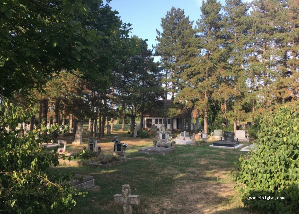 (8256) Salföld - 73132 — foto 2
