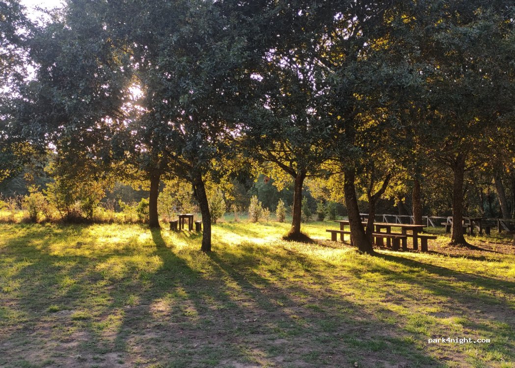 (36587) Vila de Cruces - Unnamed Road — foto 3