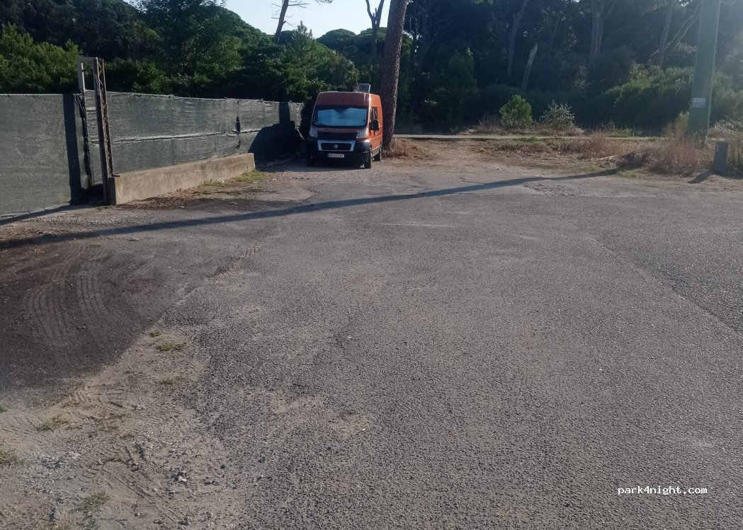 (56128) Marina di Pisa-tirrenia-calambr - 15 Via Ivizza — foto 4