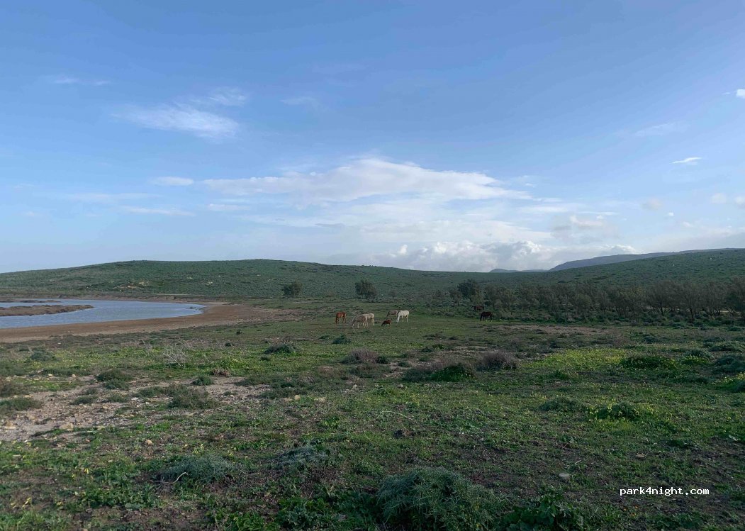 (11160) Barbate - Unnamed Road — foto 2