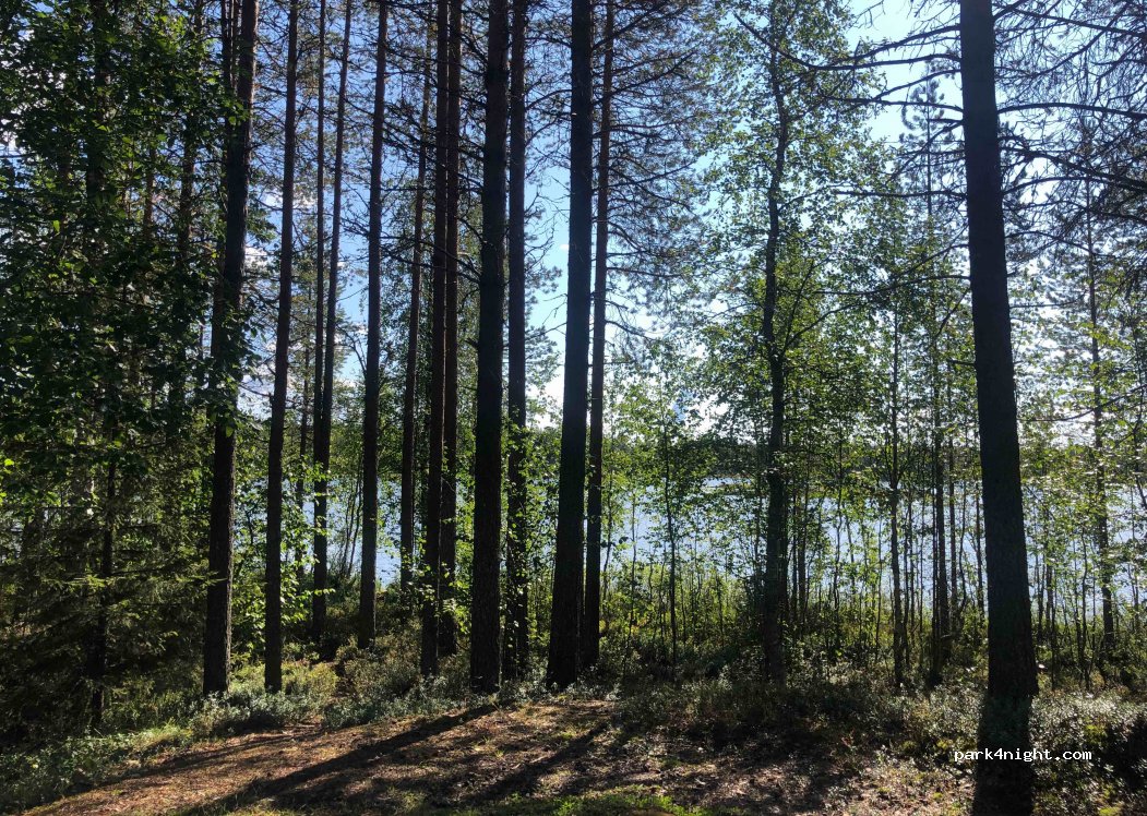 (93850) Kuusamo - Juumantie 94 — foto