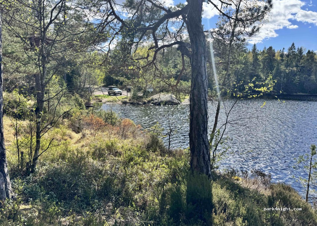(450 63) Högsäter - Unnamed Road — foto 5