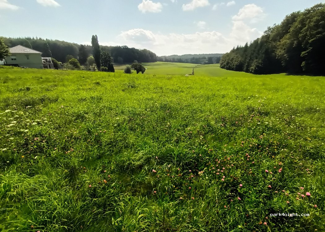(88390) Renauvoid - 78 Route d'Urimenil — foto 2