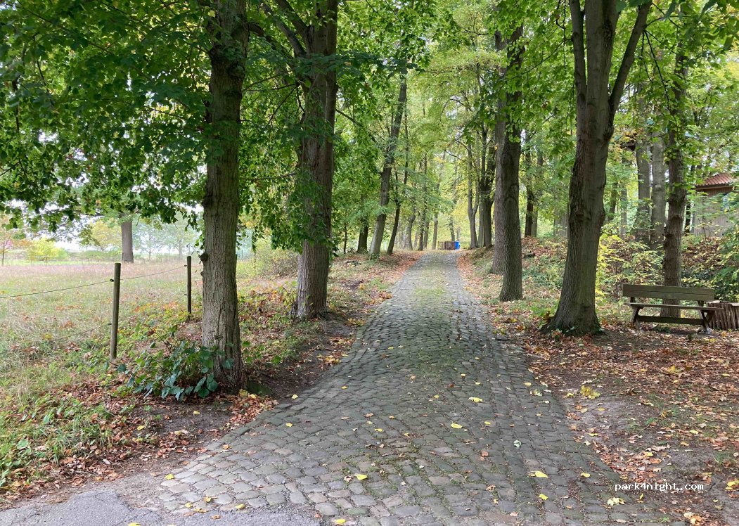 (38465) Brome - 9 Mühlenweg — foto 3