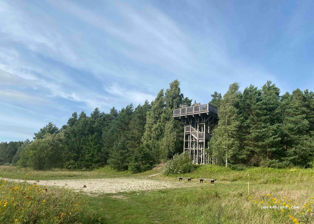 (99256) Šereitlaukis - — foto 2
