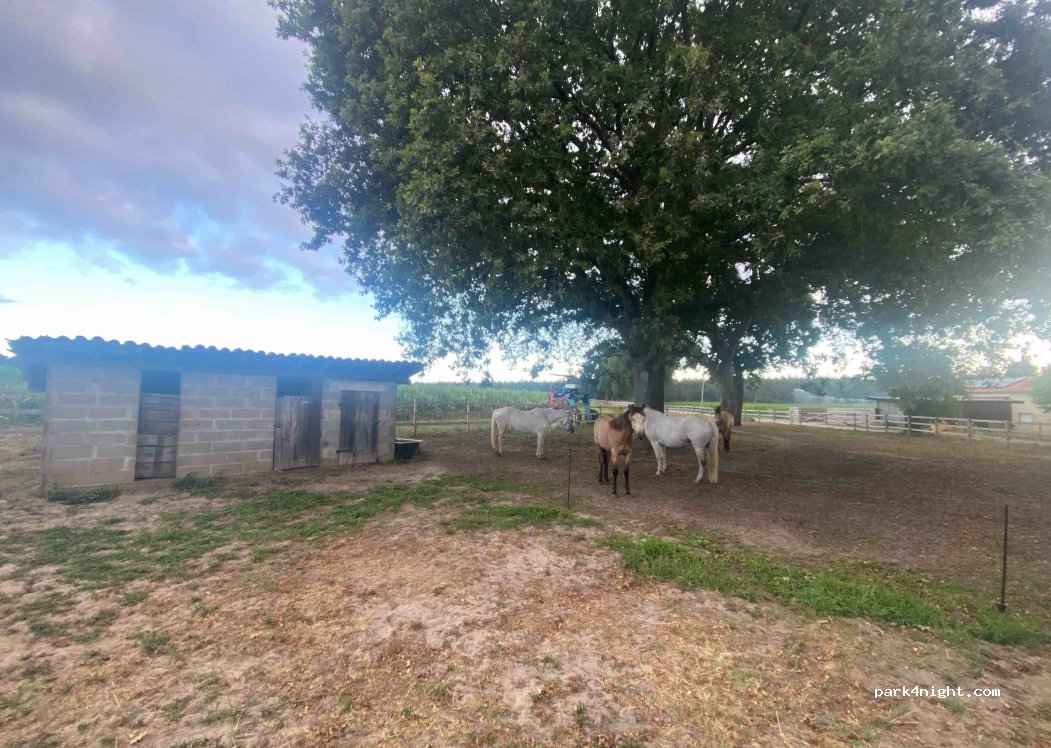 (40230) Saint-Geours-de-Maremne - 510 Route de l'Escourtille — foto 3
