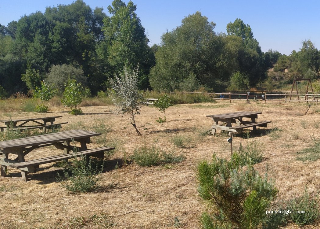 (40352) Lastras de Cuéllar - Carrereta de Lastras de Cuéllar a Cantalejo — foto 2