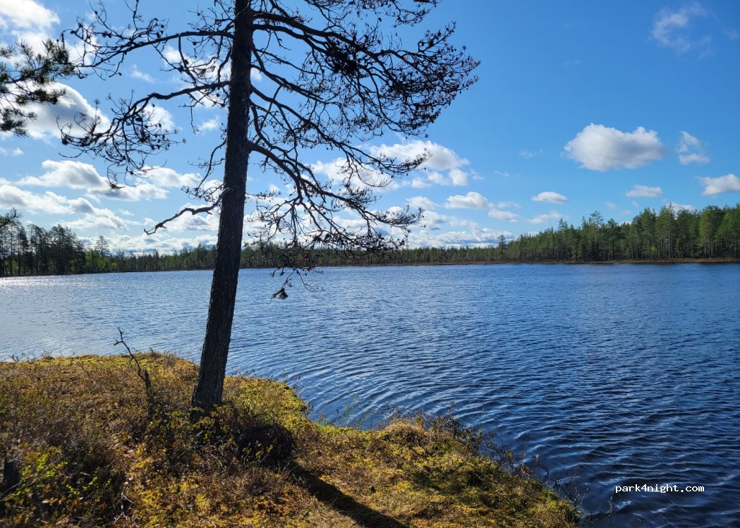 (89800) Suomussalmi - Unnamed Road — foto 3