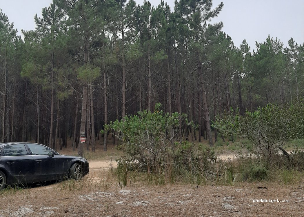 (2520) Ferrel - Unnamed Road — foto