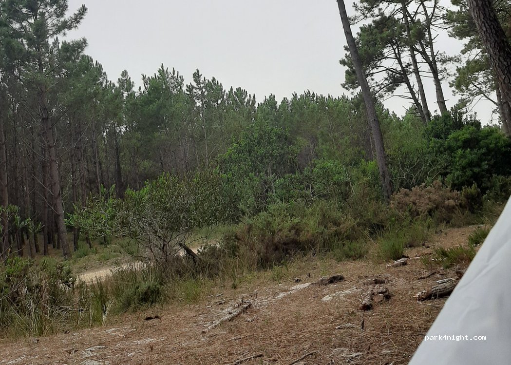 (2520) Ferrel - Unnamed Road — foto 2