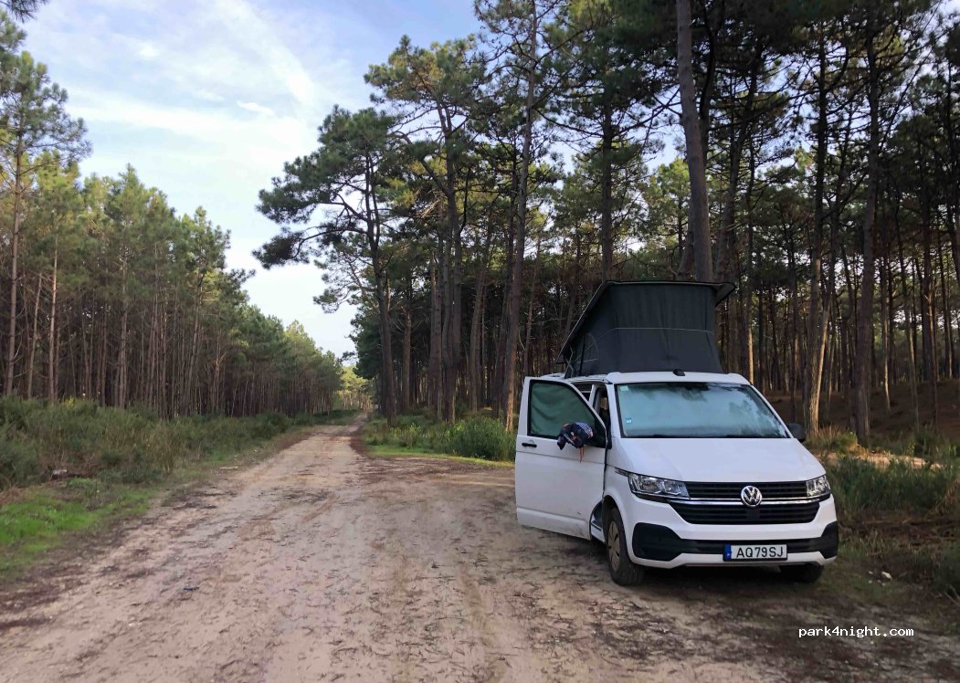 (2520) Ferrel - Unnamed Road — foto 4