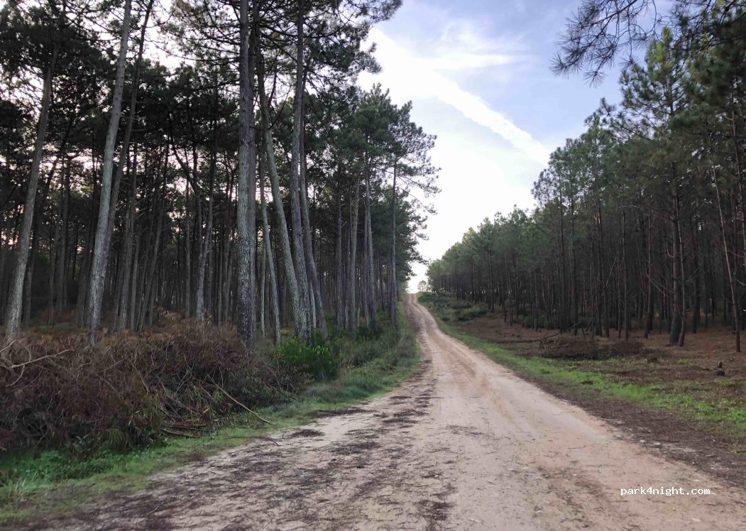 (2520) Ferrel - Unnamed Road — foto 5