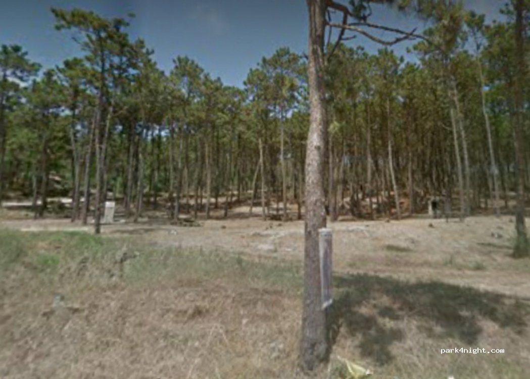 (2525) Ferrel - Estrada dos Casais — foto