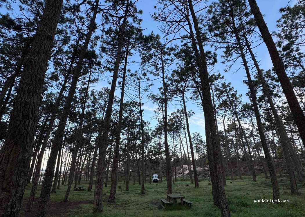 (2525) Ferrel - Estrada dos Casais — foto 5