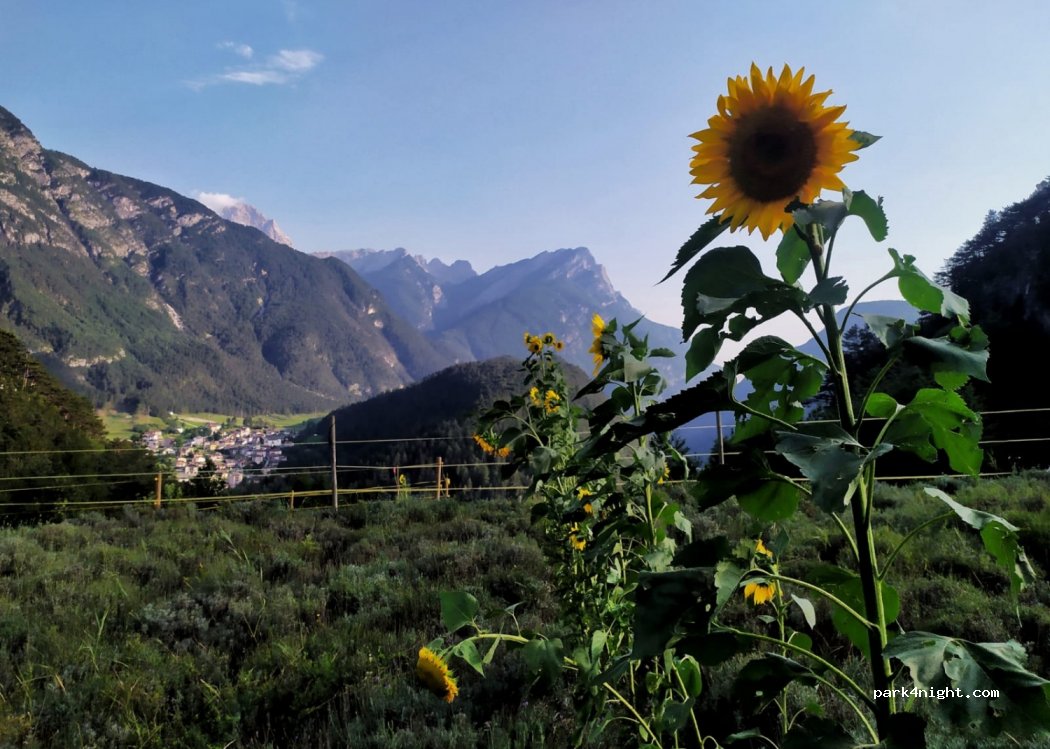(32040) Valle di Cadore - Strada Cavallera — foto