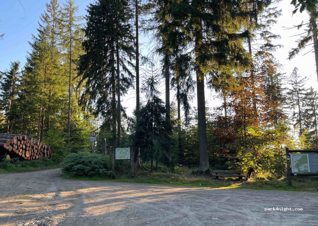 (95239) Zell im Fichtelgebirge - Unnamed Road — foto