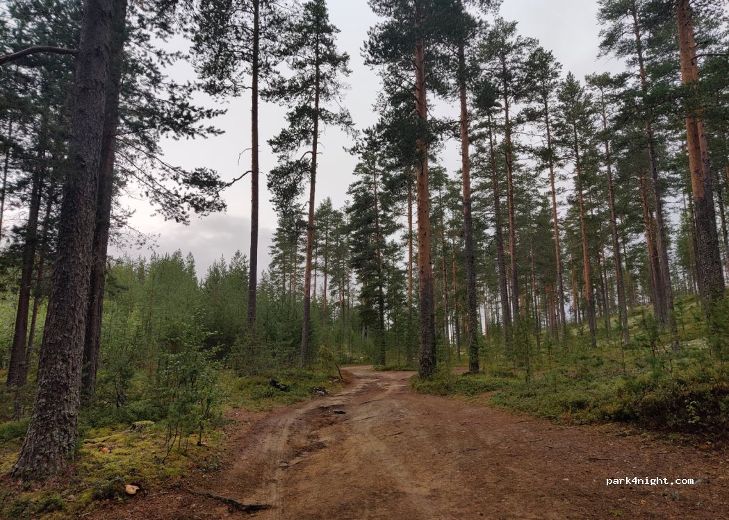 (2410) Elverum - Trysilvegen — foto 2