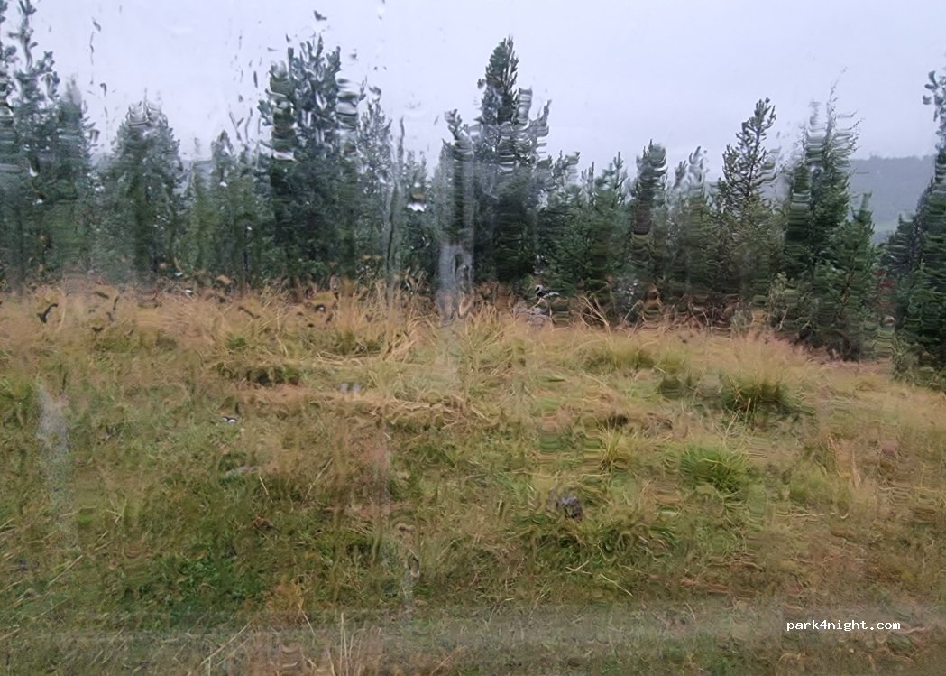 (2683) Vågaholmen - 1313 Primær Fylkesveg 51 — foto