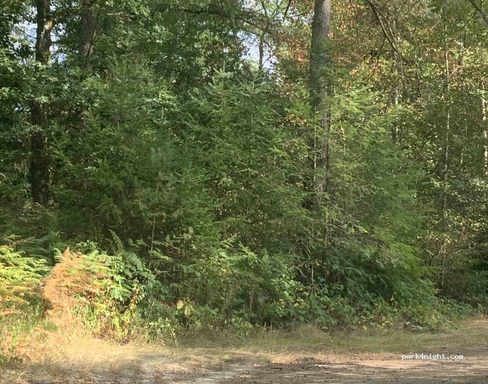 (23460) Royère-de-Vassivière - D3A2 — foto 2
