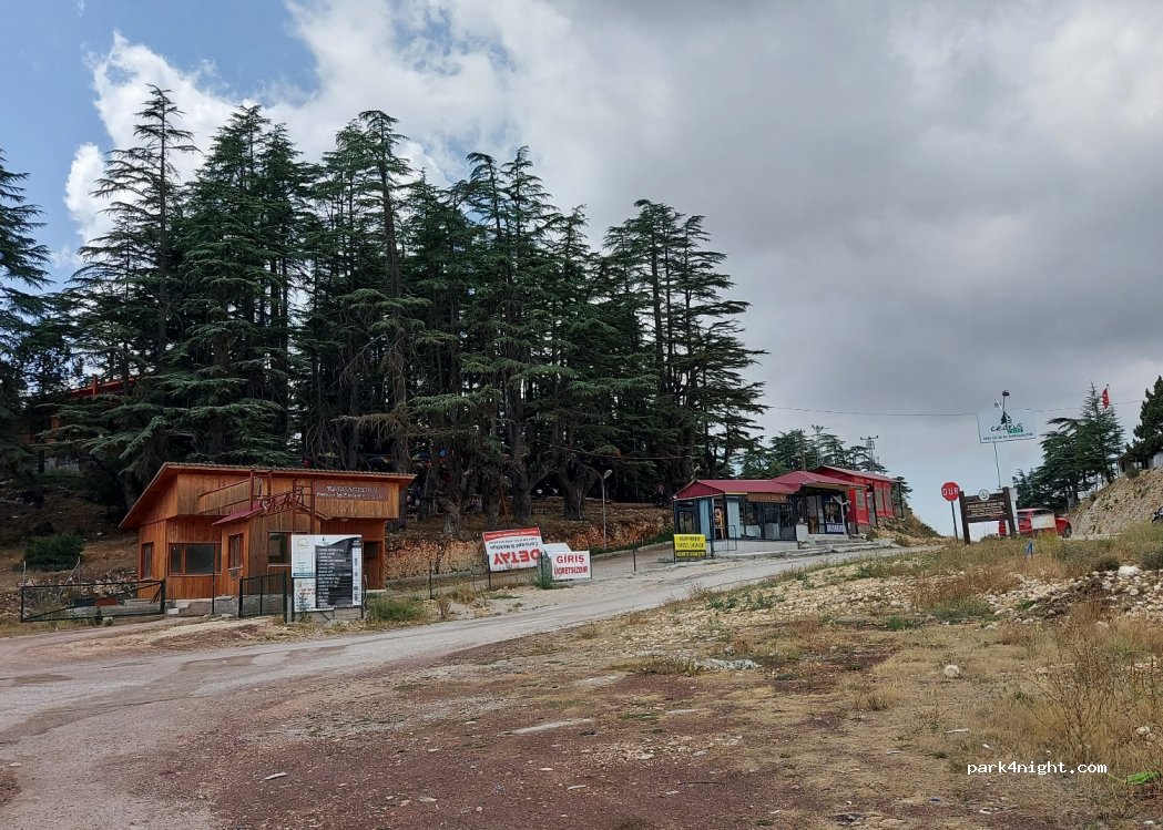 Cedrus life kamp ve karavan alanı — foto