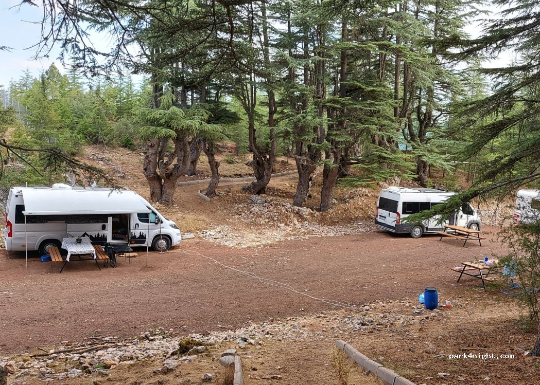 Cedrus life kamp ve karavan alanı — foto 2