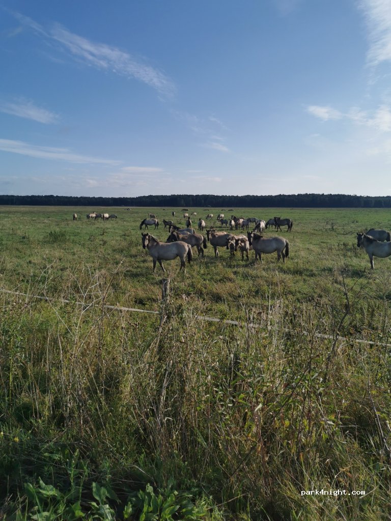 (3147) Slampe - Unnamed Road — foto 2