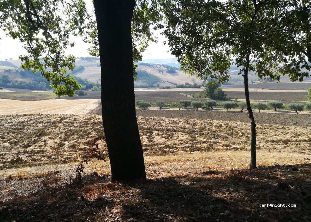 (60013) Corinaldo - 77 Via San Isidoro — foto 4