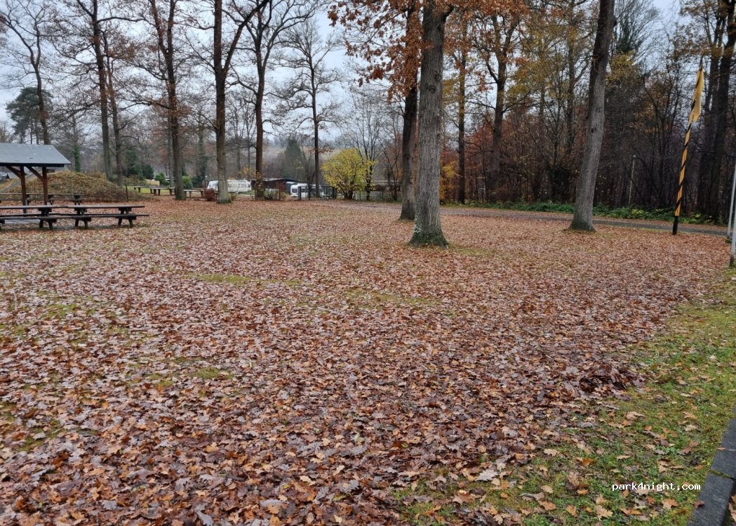 Camping im Eichenwald — foto