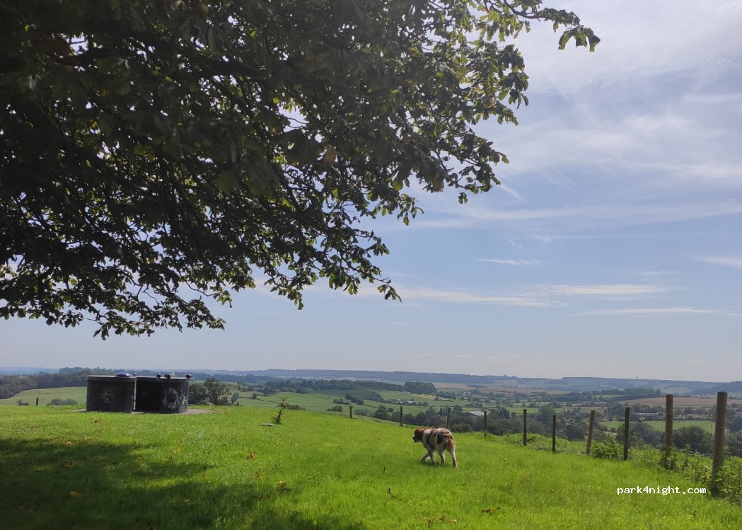 (76440) La Ferté-Saint-Samson - 8 Le Bois des Pâtis — foto