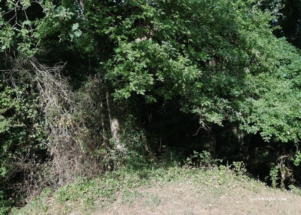 (81400) Rosières - Unnamed Road — foto