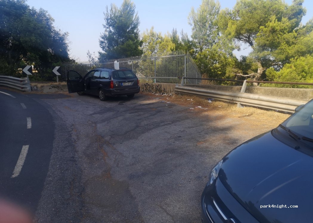 (18010) Capo Mimosa-rollo - 2 Via Aurelia — foto
