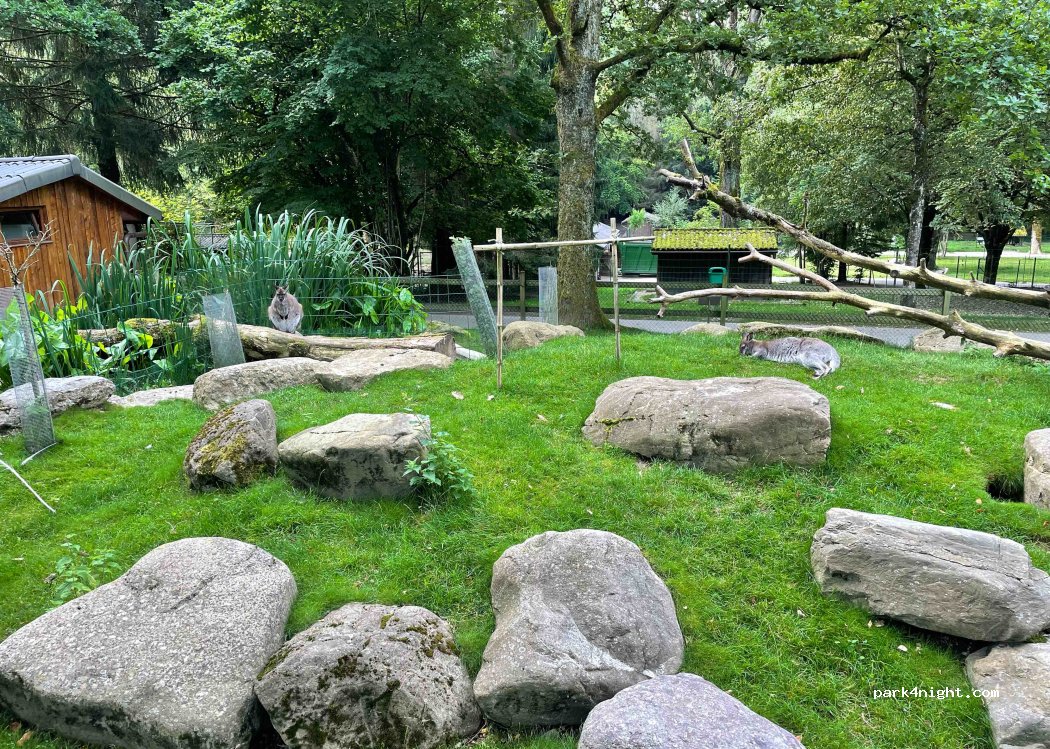 (1077) Servion - 1 Chemin du Zoo — foto
