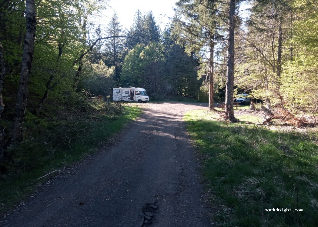 (12210) Laguiole - D15 — foto 3