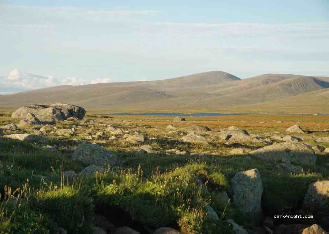 (2953) Beitostølen - Primær Fylkesveg 51 — foto 5