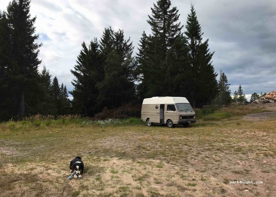 (685 94)  - 11 HOVFJÄLLET — foto