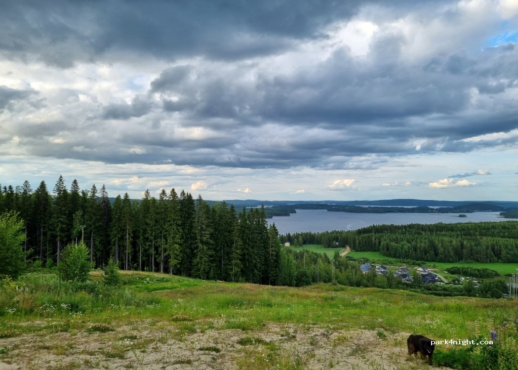 (40950) Jyvaskyla - 282 Riihivuorentie — foto 3