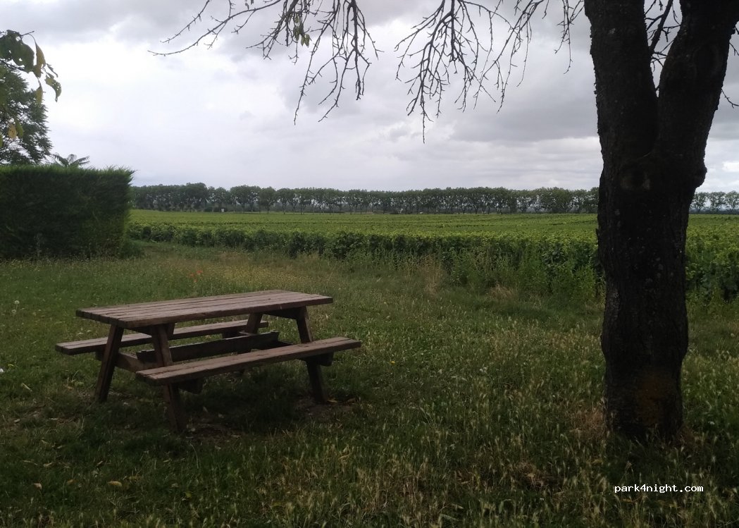 (21630) Pommard - 6 Route de Beaune — foto 3