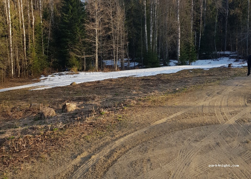 (70280) Kuopio - 58 Antikkalantie — foto 2