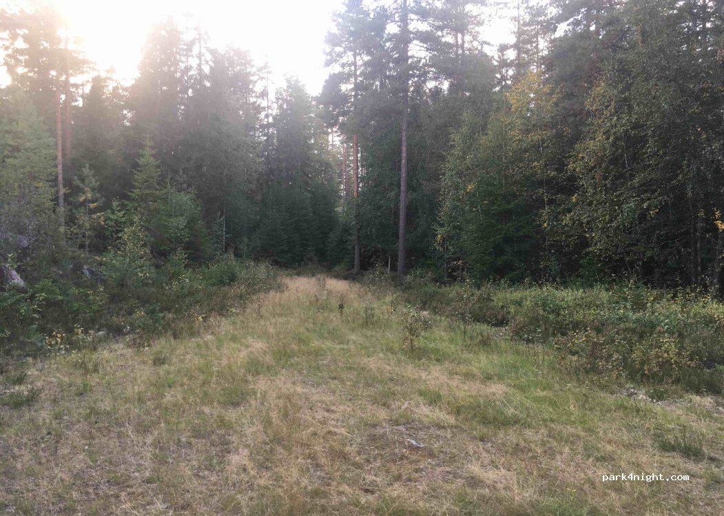 (2256) Grue Finnskog - Unnamed Road — foto