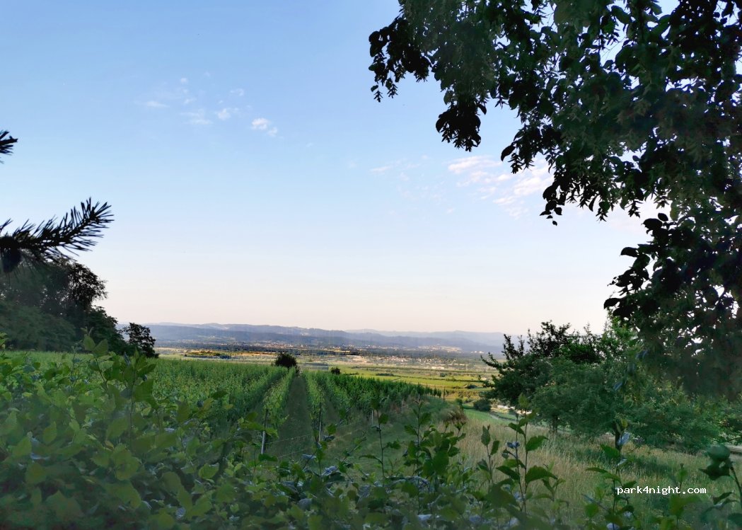 (79356) Eichstetten am Kaiserstuhl - Unnamed Road — foto 3