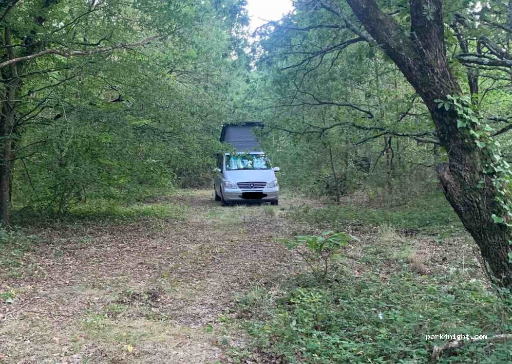 (17550) Dolus-d'Oléron - Route des Bouchottières — foto