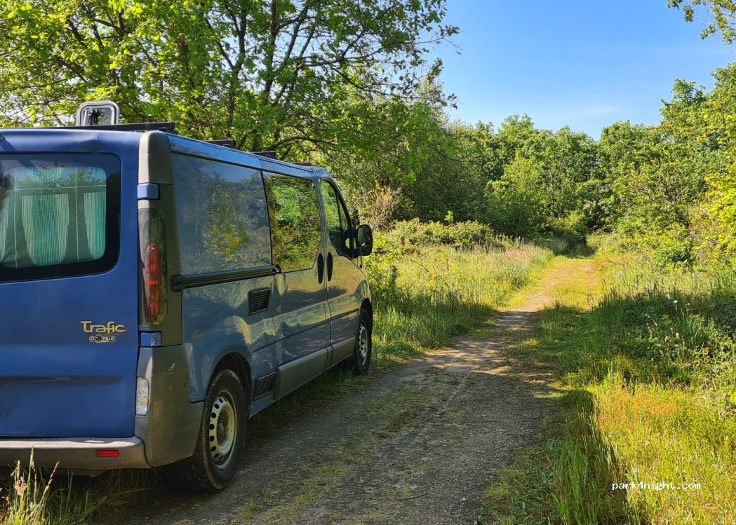 (17550) Dolus-d'Oléron - Route des Bouchottières — foto 3