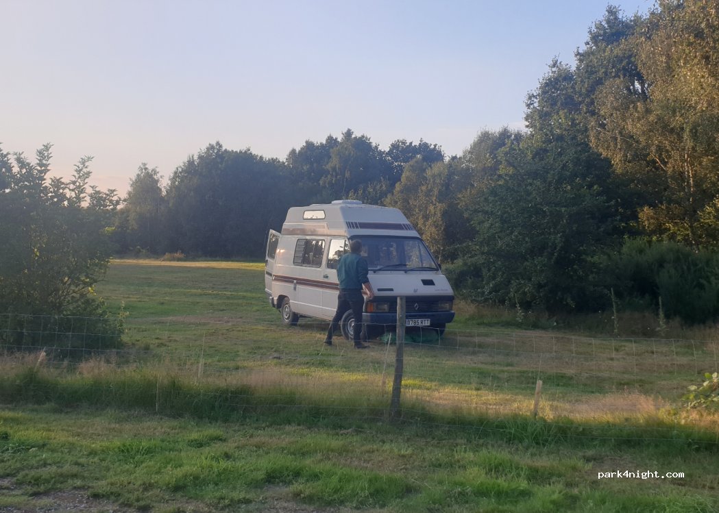 Lupin Woods Camping — foto