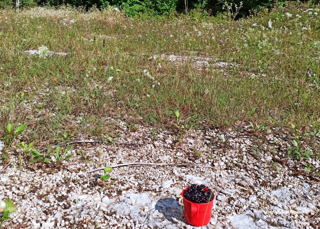 (39130) Soucia - Unnamed Road — foto