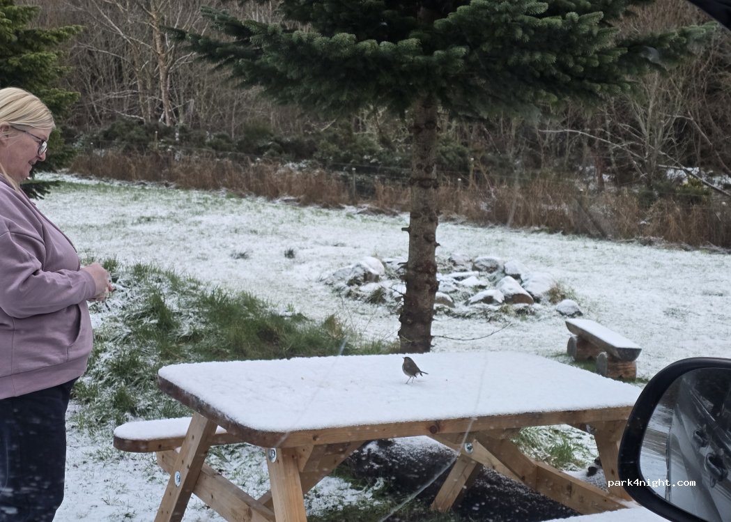 Kessock Caravan Park — foto 5